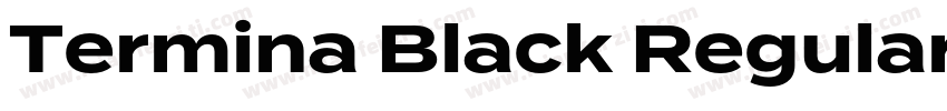Termina Black Regular字体转换